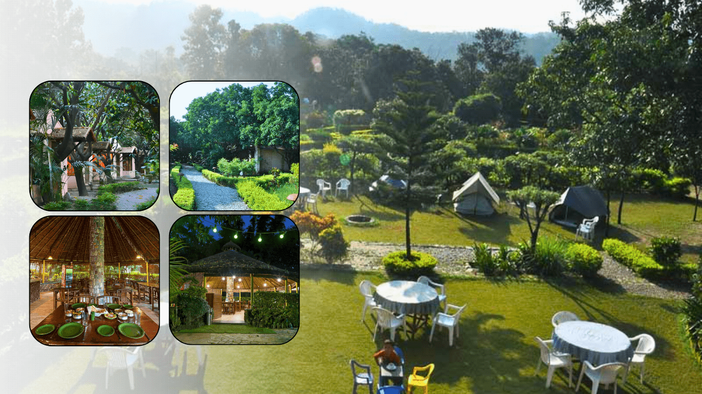 pet friendly resort hotels | dhikala, bijrani, jhirna, dhikala